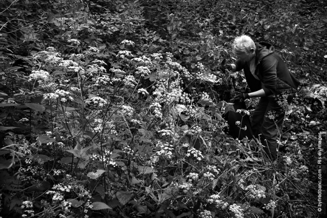 Essonne verte Essonne propre photos noir et blanc Ris Orangis en images Fred Blanc